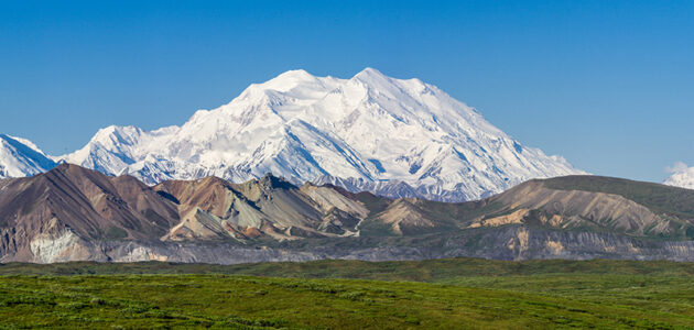 Best Things to Do in Denali National Park - Westmark Hotels